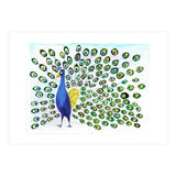 Peacock (Print Only) thumbnail