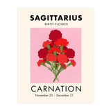 Sagittarius Birth Flower Carnation  (Print Only) thumbnail