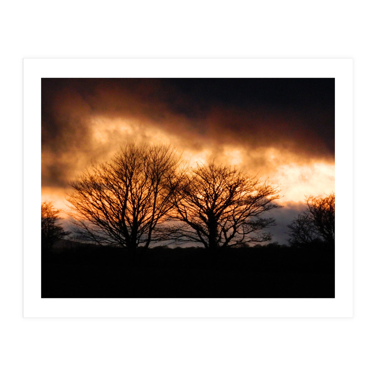 Spring Sunset (Print Only)