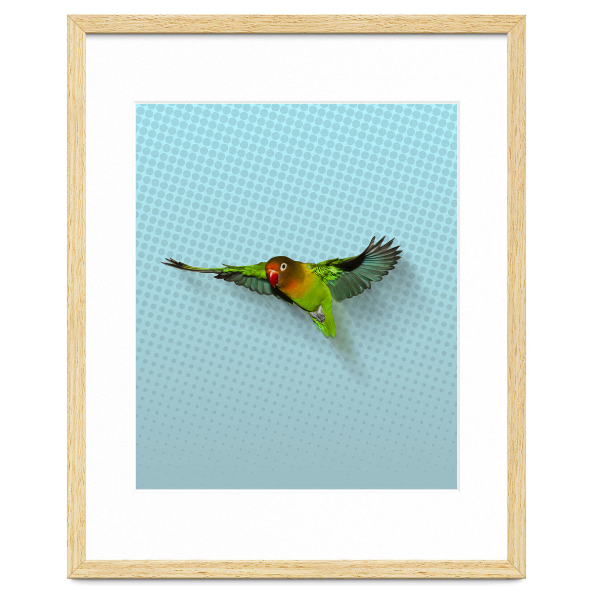 Flying lovebird