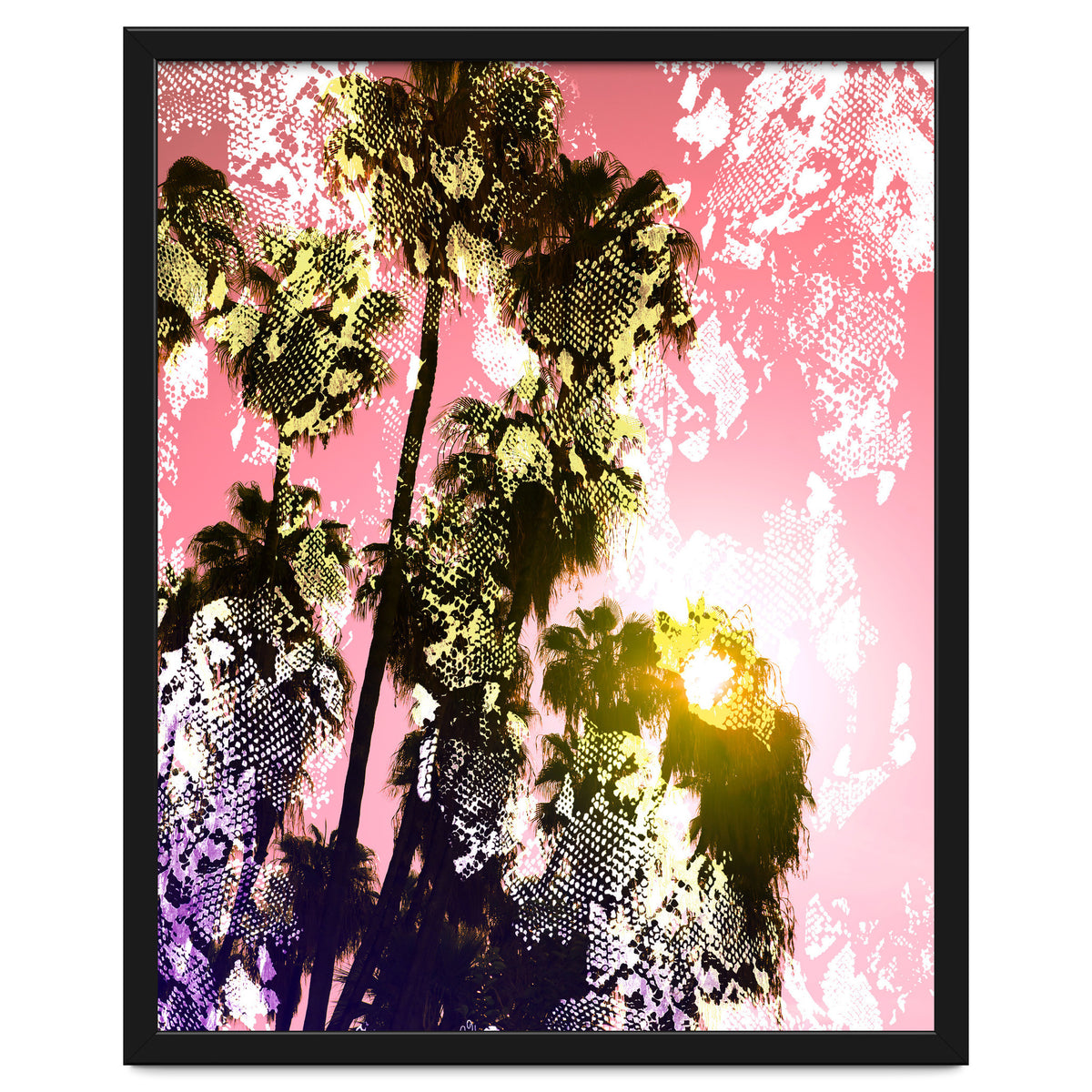 Snake sunset in paradise