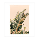 Growing Green Alicia Bock (Print Only) thumbnail
