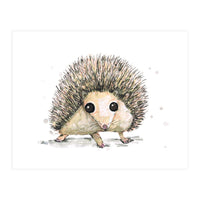 Hedgehog (Print Only)