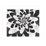 Mono Chrome Flower Spiral   (Print Only) thumbnail