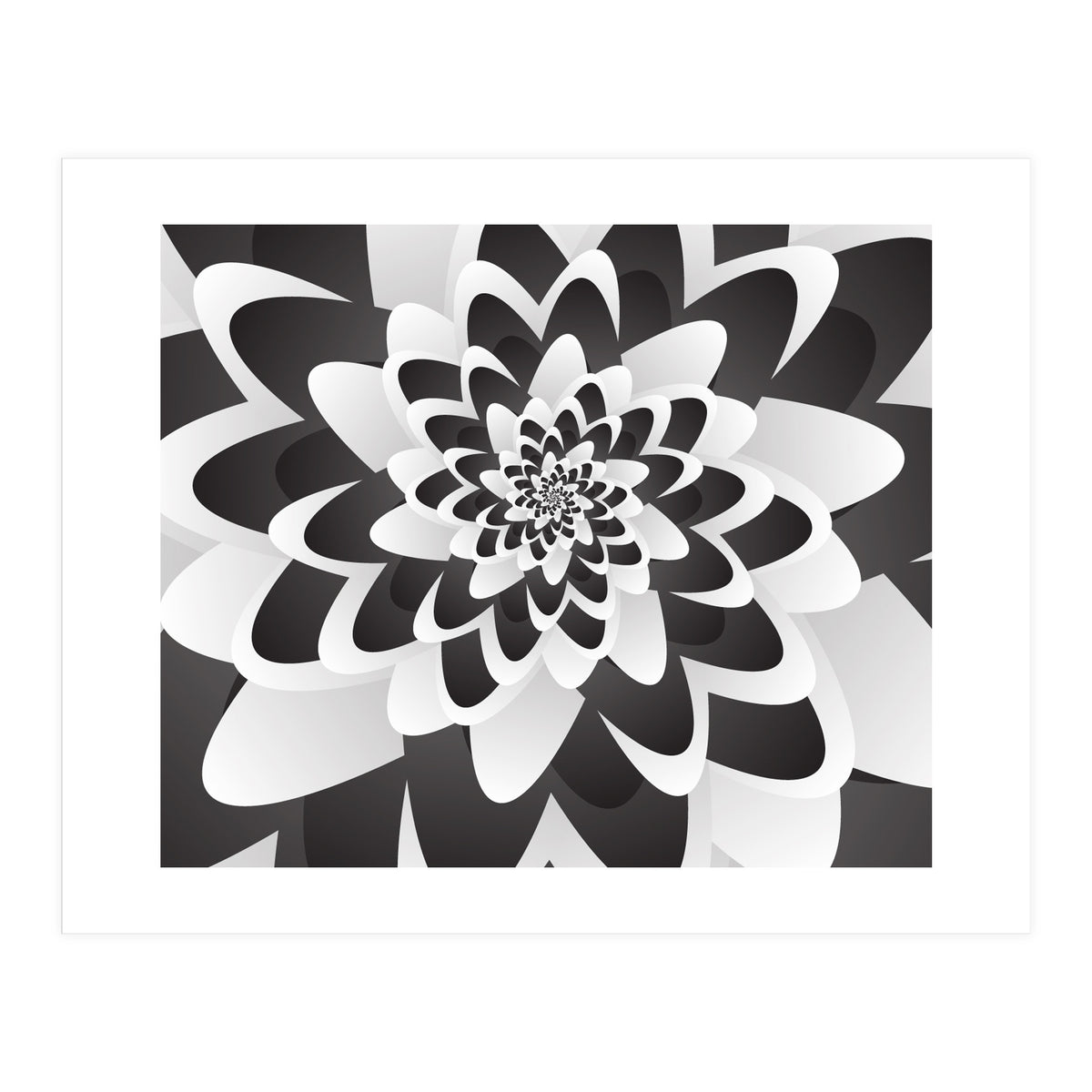 Mono Chrome Flower Spiral   (Print Only)