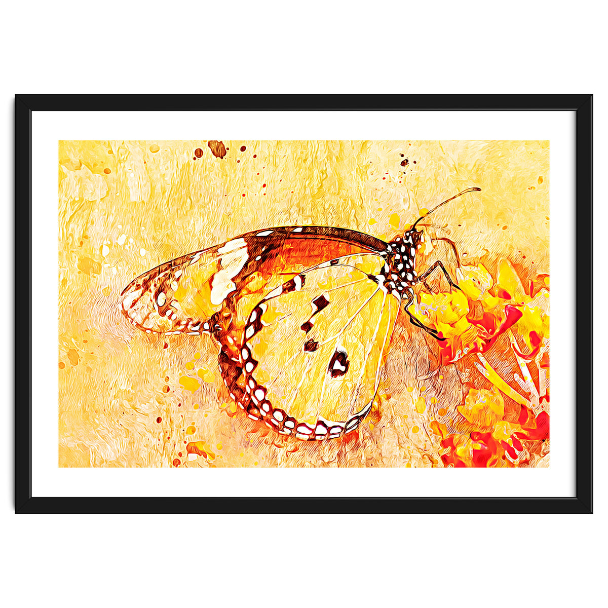 Butterfly On Aclepias