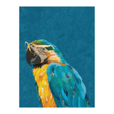 Macaw Portrait Blue Gold Glasses (Print Only) thumbnail