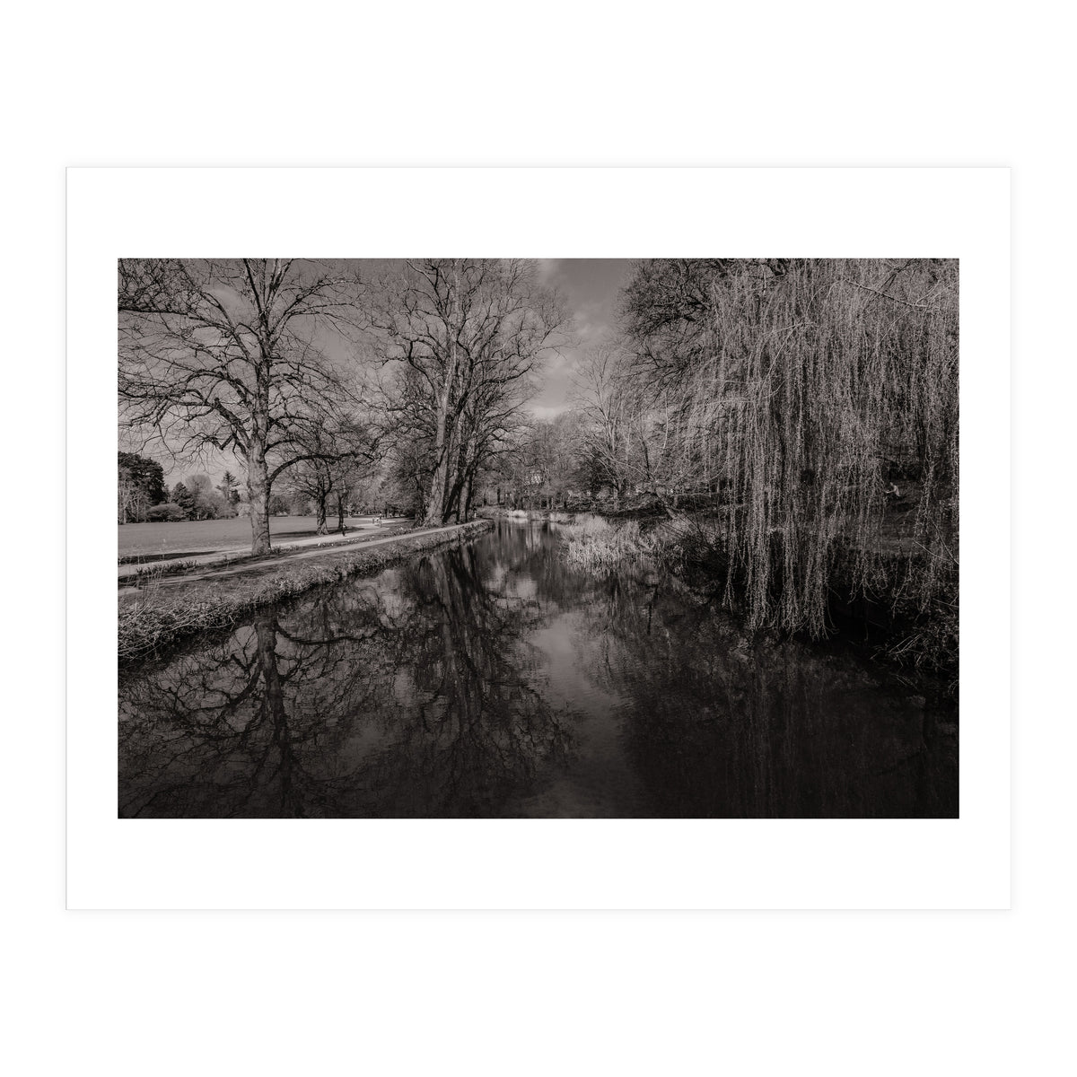 Bute Park, Cardiff  (Print Only)