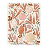 Shells Collection (Print Only) thumbnail