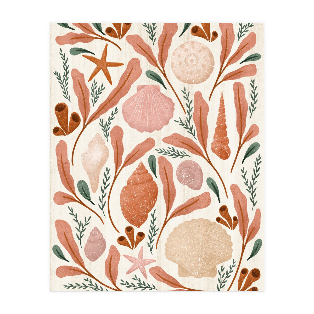 Shells Collection (Print Only)