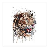 Leopard - Wildlife Collection (Print Only)