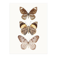 Cc Butterflies 06 (Print Only)
