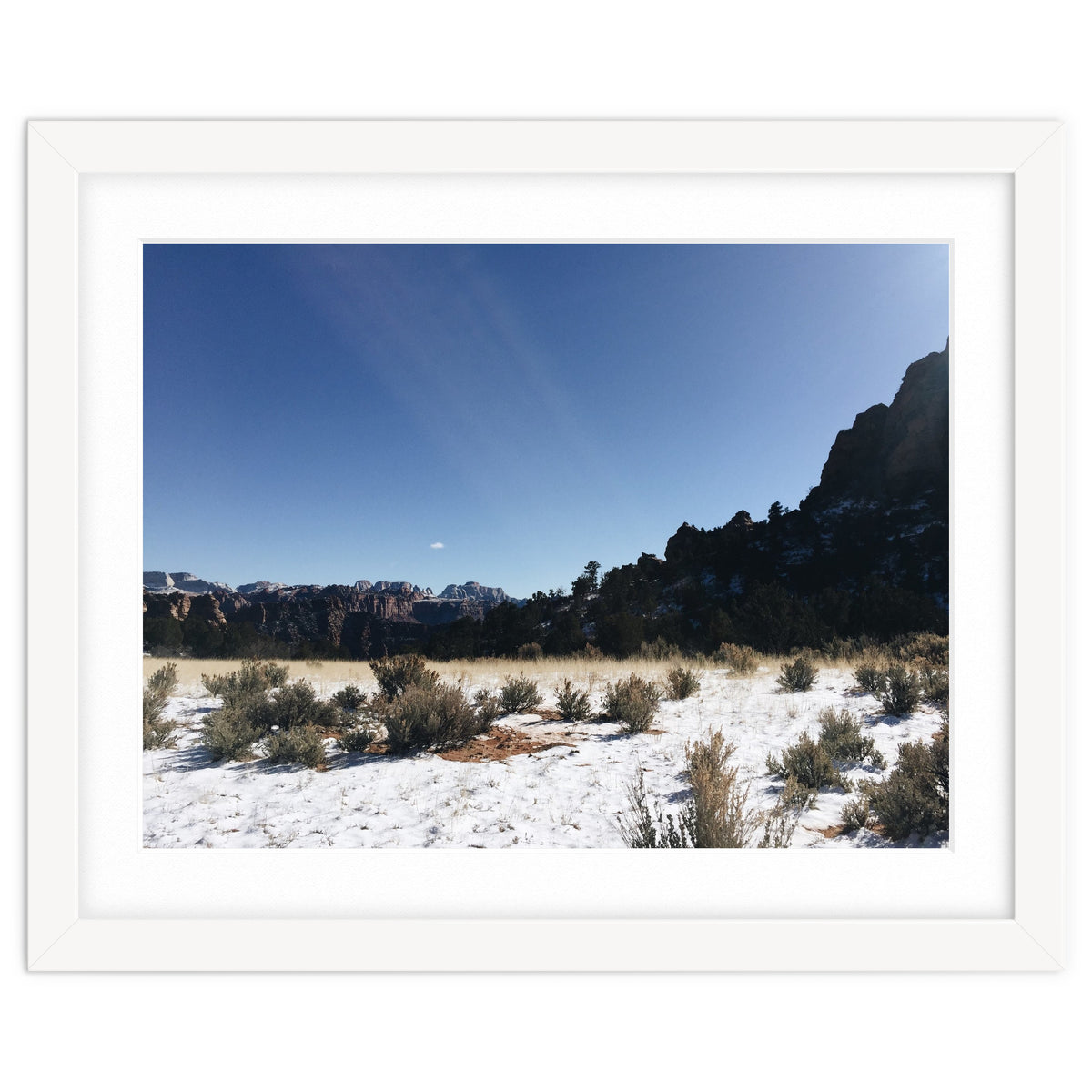 Zion National Park II