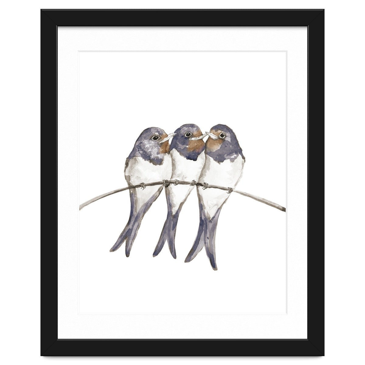 Three young swallows