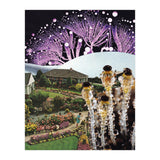 Fungi (Print Only) thumbnail