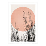 Sunset Dreams Rose (Print Only) thumbnail