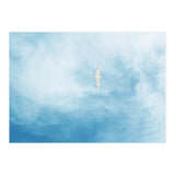 Seagull (Print Only) thumbnail
