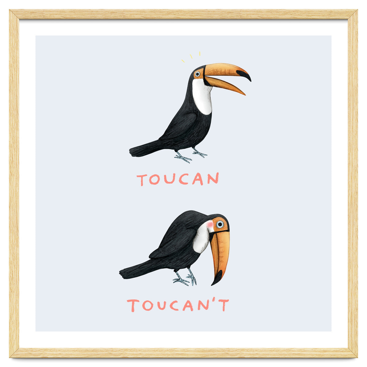 Toucan Toucan't