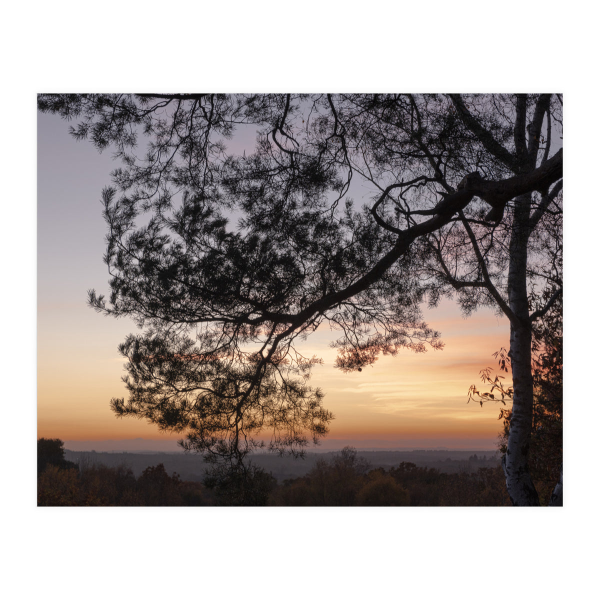 Sunset on Finchampstead Ridges - Berkshire (Print Only)