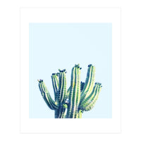 Cactus (Print Only)