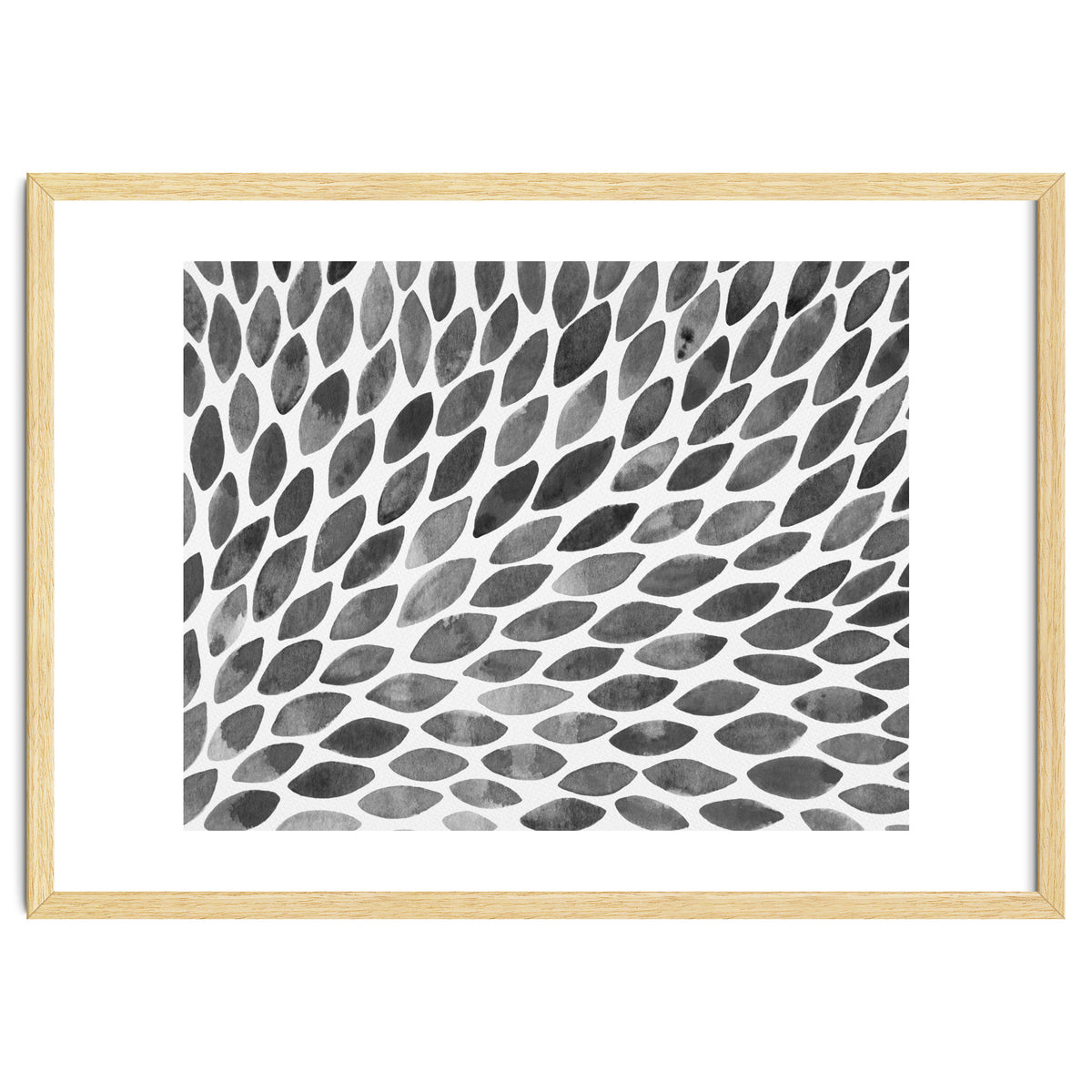 Black and white petal burst