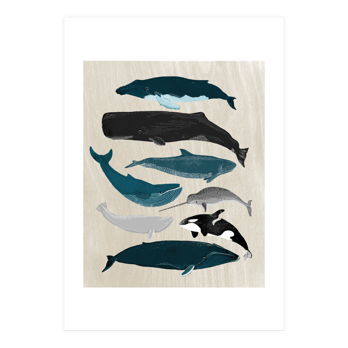Whales (Print Only)