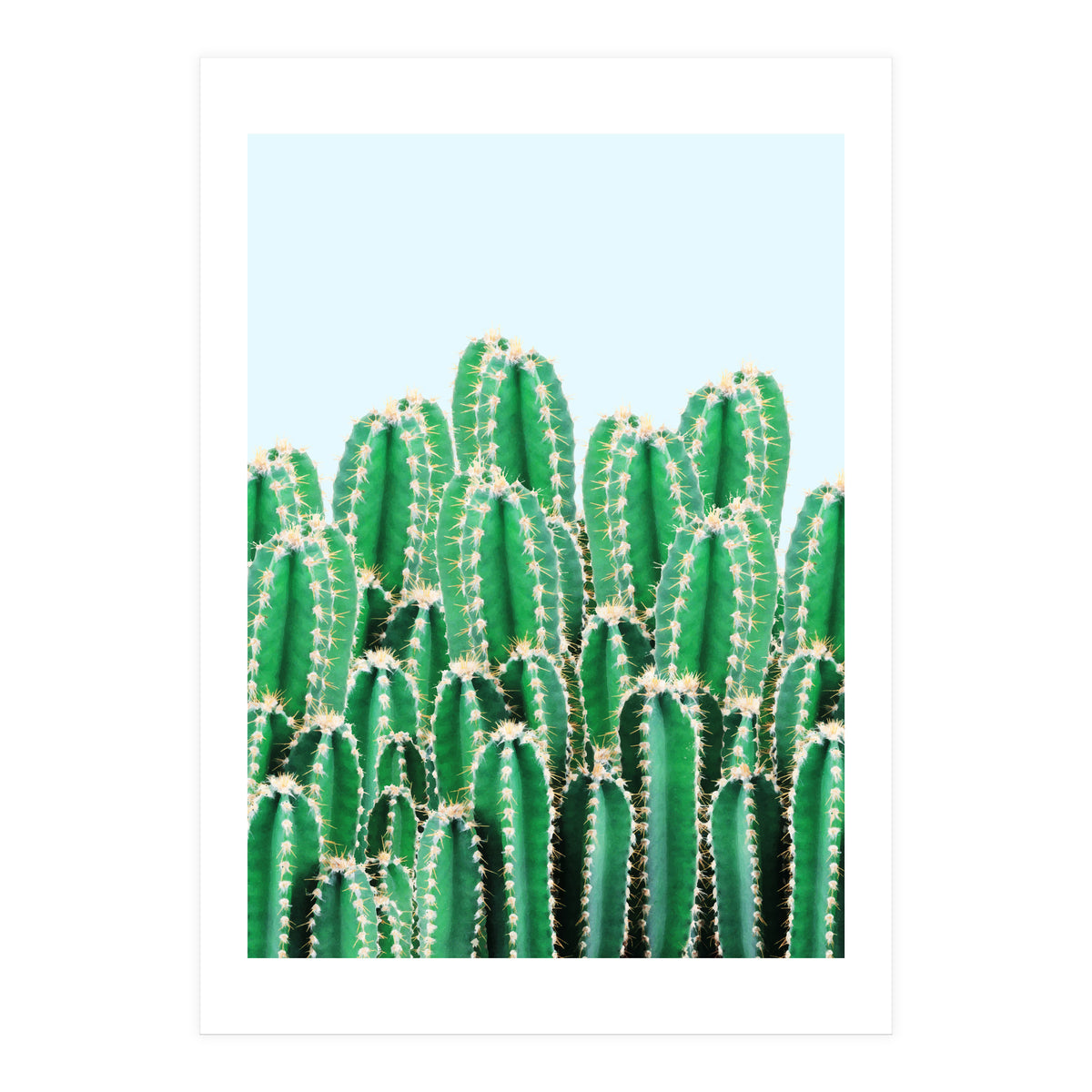 Kaktos II (Print Only)