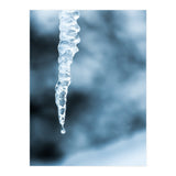 MELTING ICE - Spring is coming! (Print Only) thumbnail