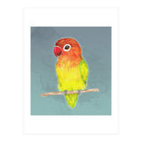 Cute yellow Fischer's lovebird (Print Only) thumbnail