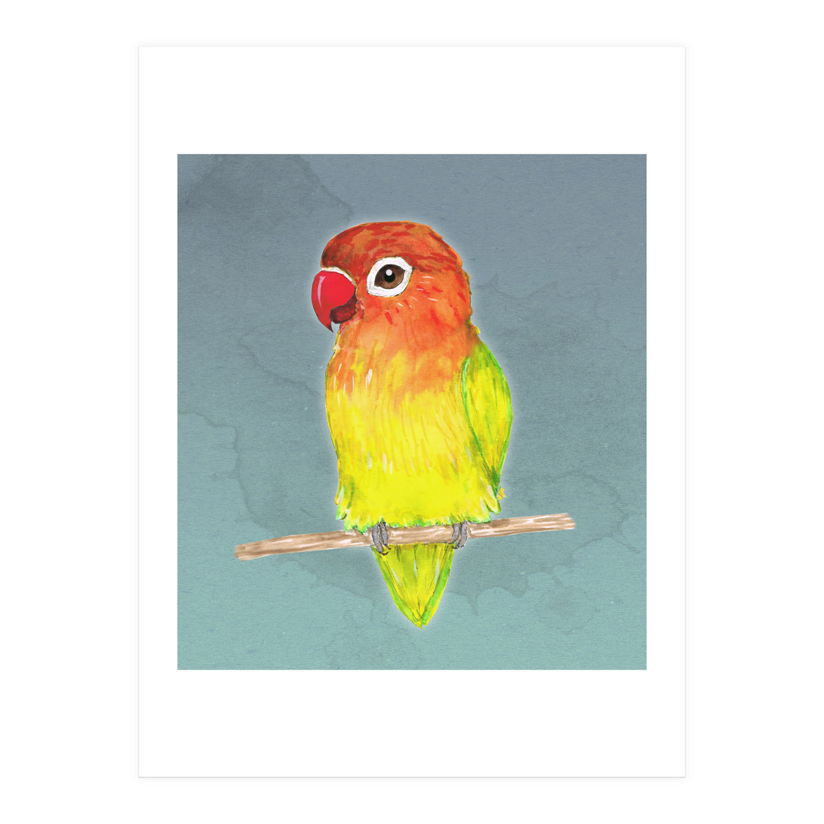 Cute yellow Fischer's lovebird (Print Only)