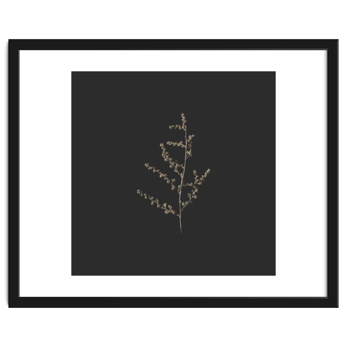 Dainty Botanicals in Gold and Black - Square