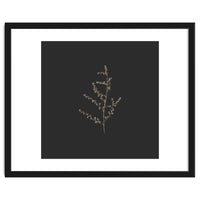 Dainty Botanicals in Gold and Black - Square