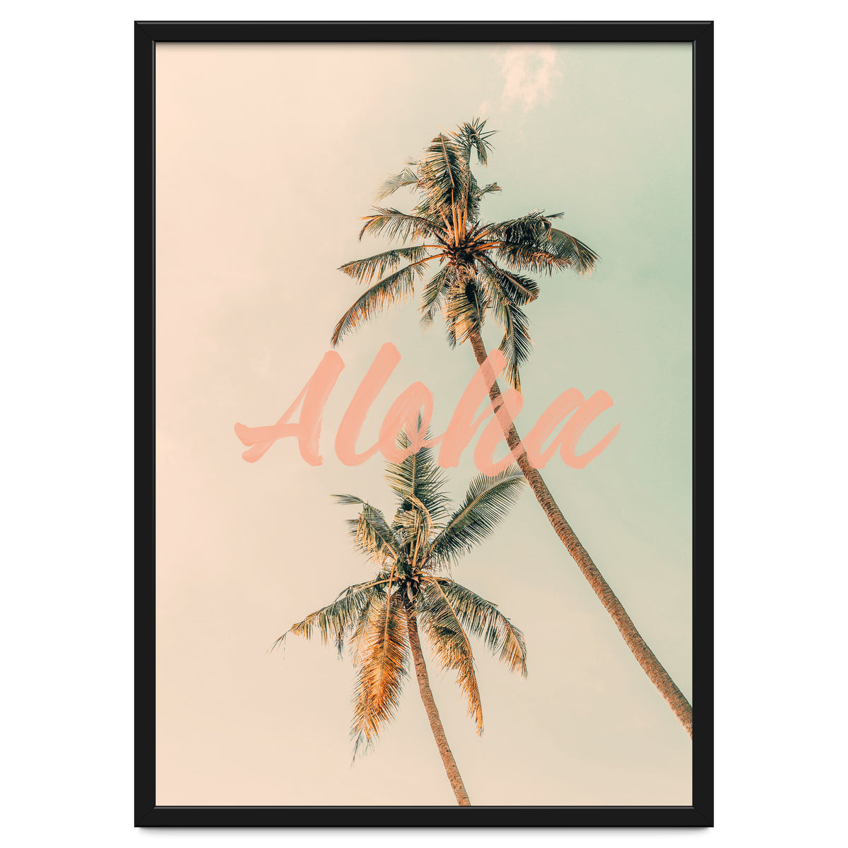 Aloha