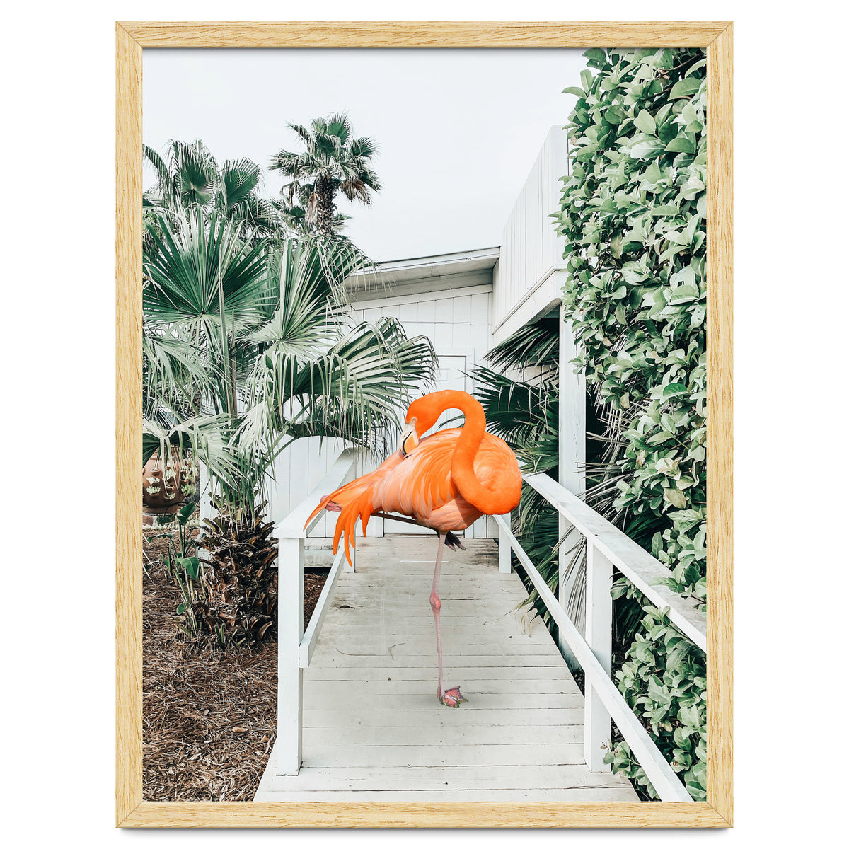 Flamingo Beach House