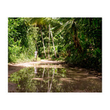 Haitian Bush (Print Only) thumbnail
