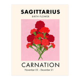 Sagittarius Birth Flower Carnation  (Print Only) thumbnail