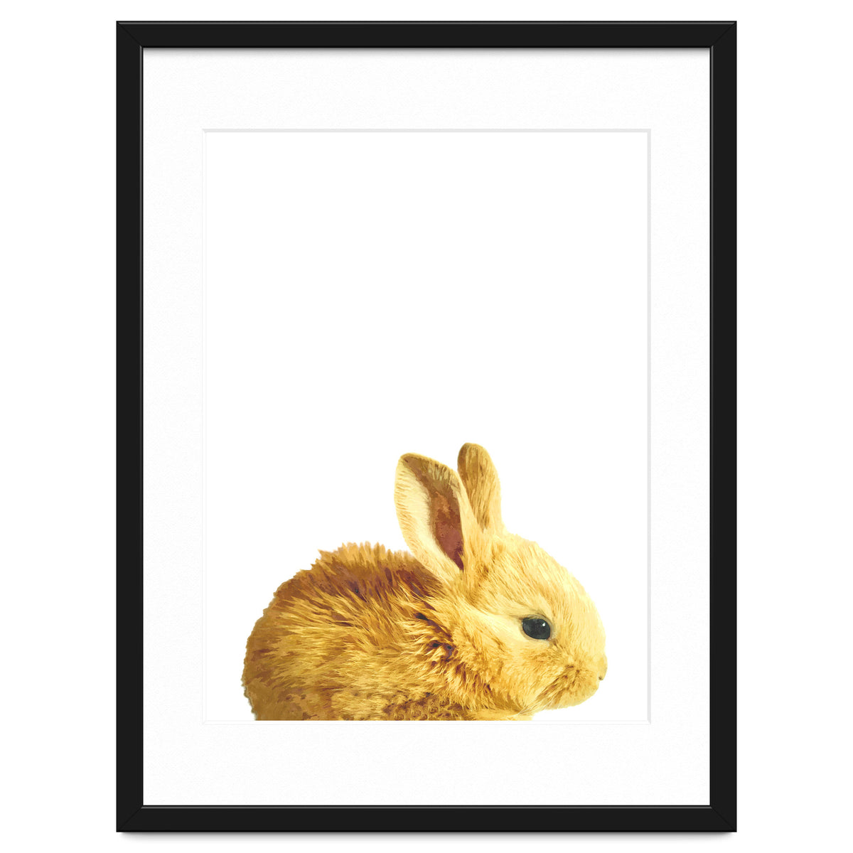 Bunny Portrait