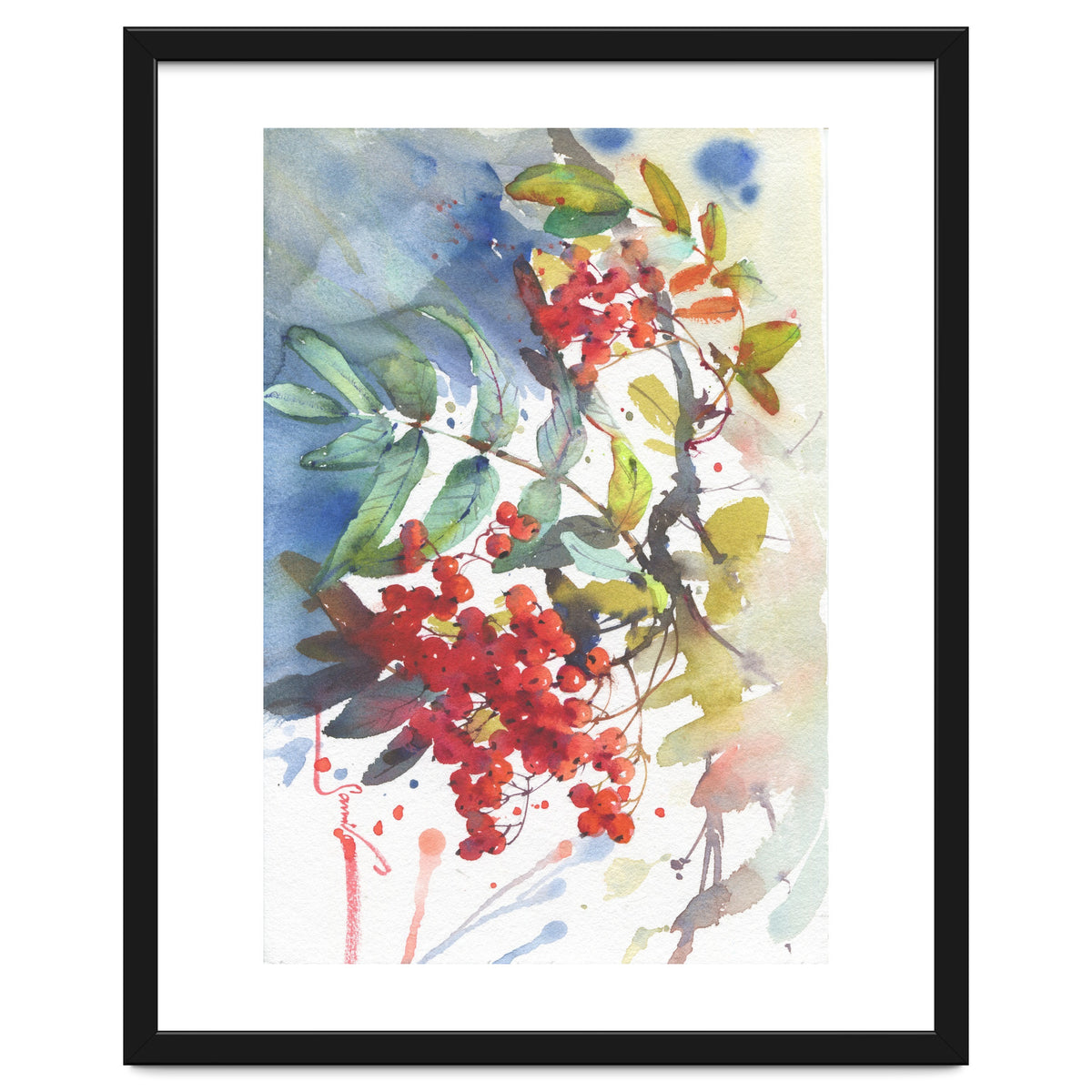 Viburnum / Guelder rose