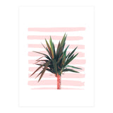 Dreamer (Print Only) thumbnail