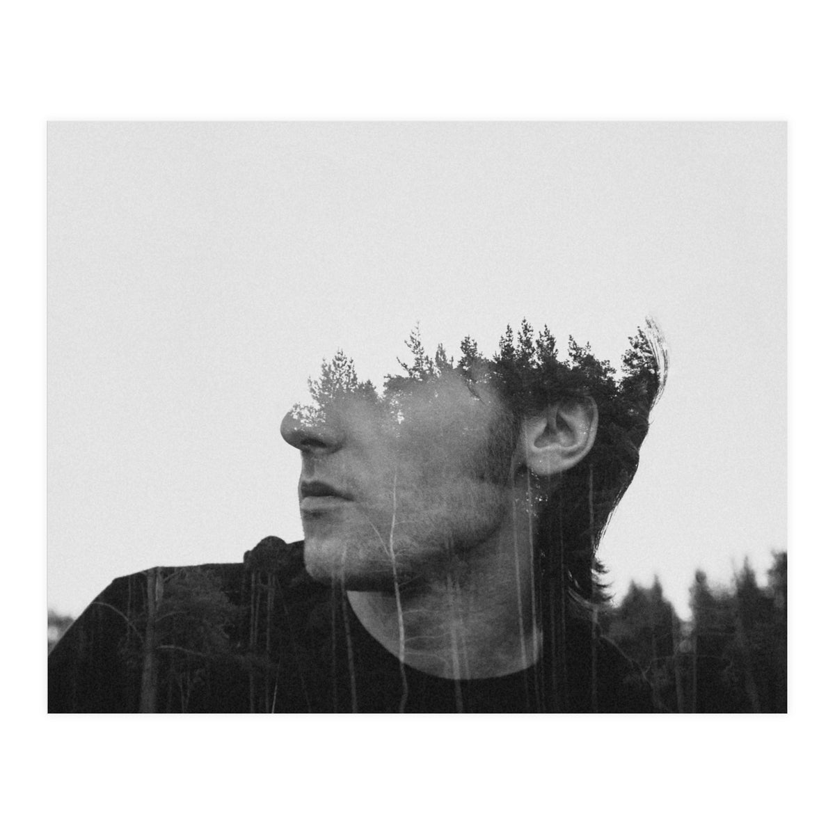 Environmentalist (Print Only)