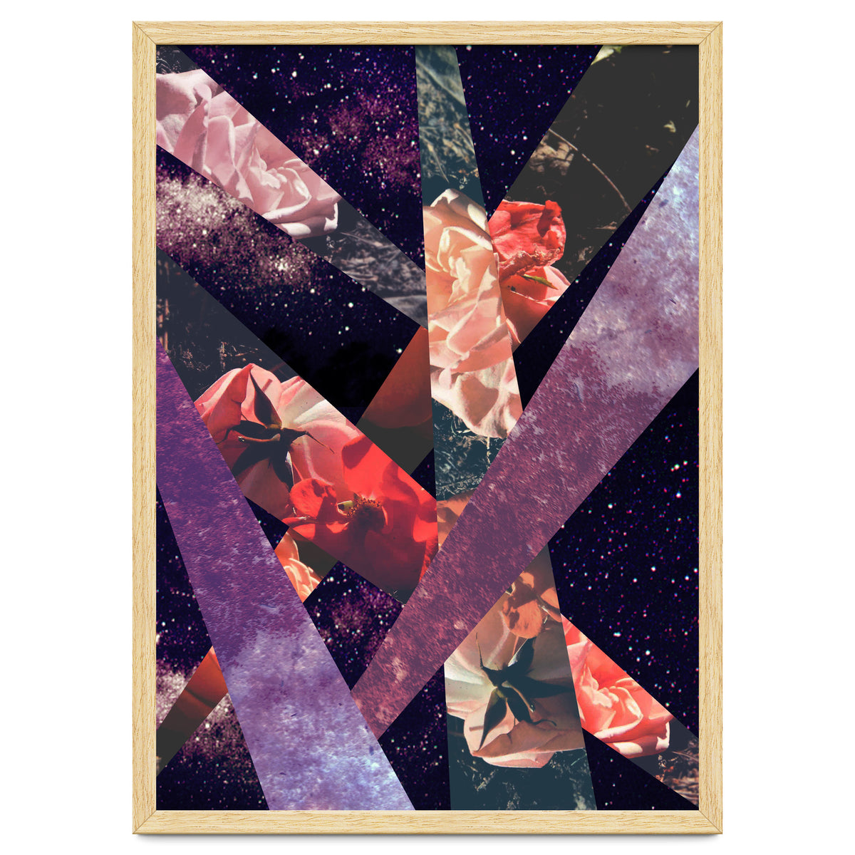 Roses In The Galaxy