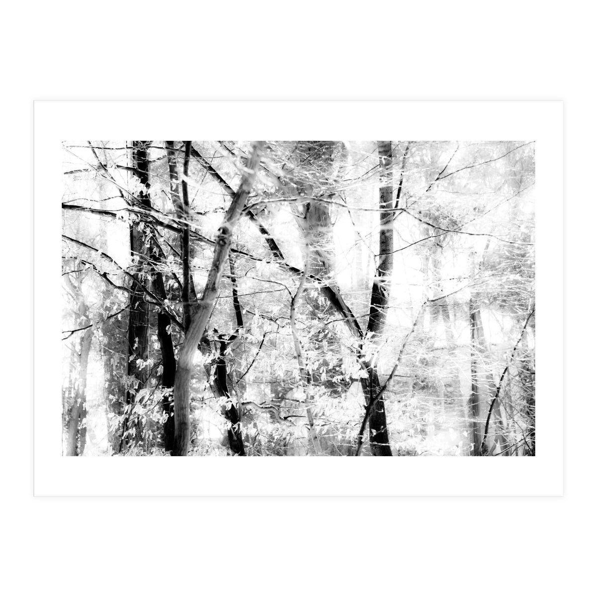 tree breeze (Print Only)
