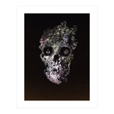 Metamorphosis  (Print Only) thumbnail