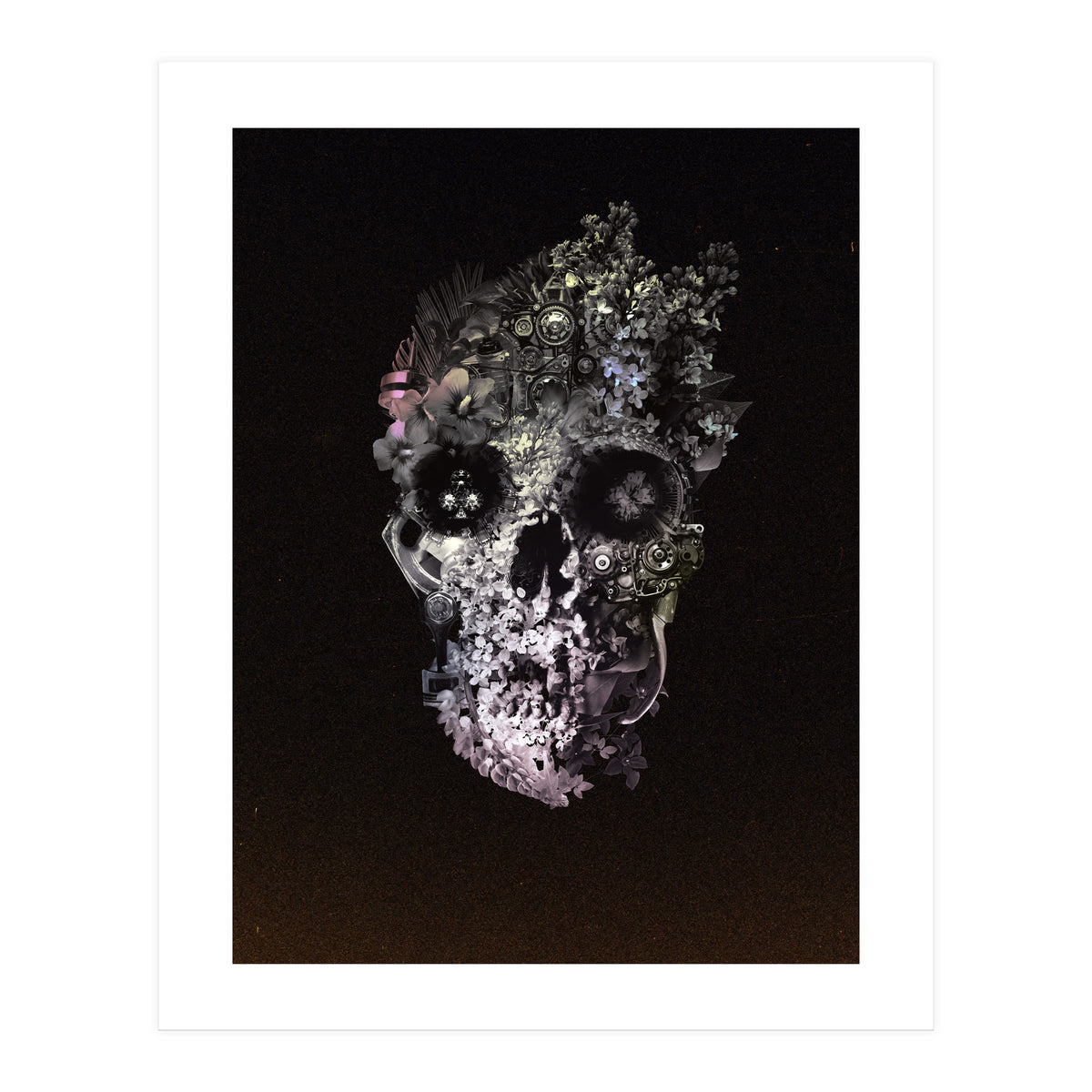 Metamorphosis  (Print Only)