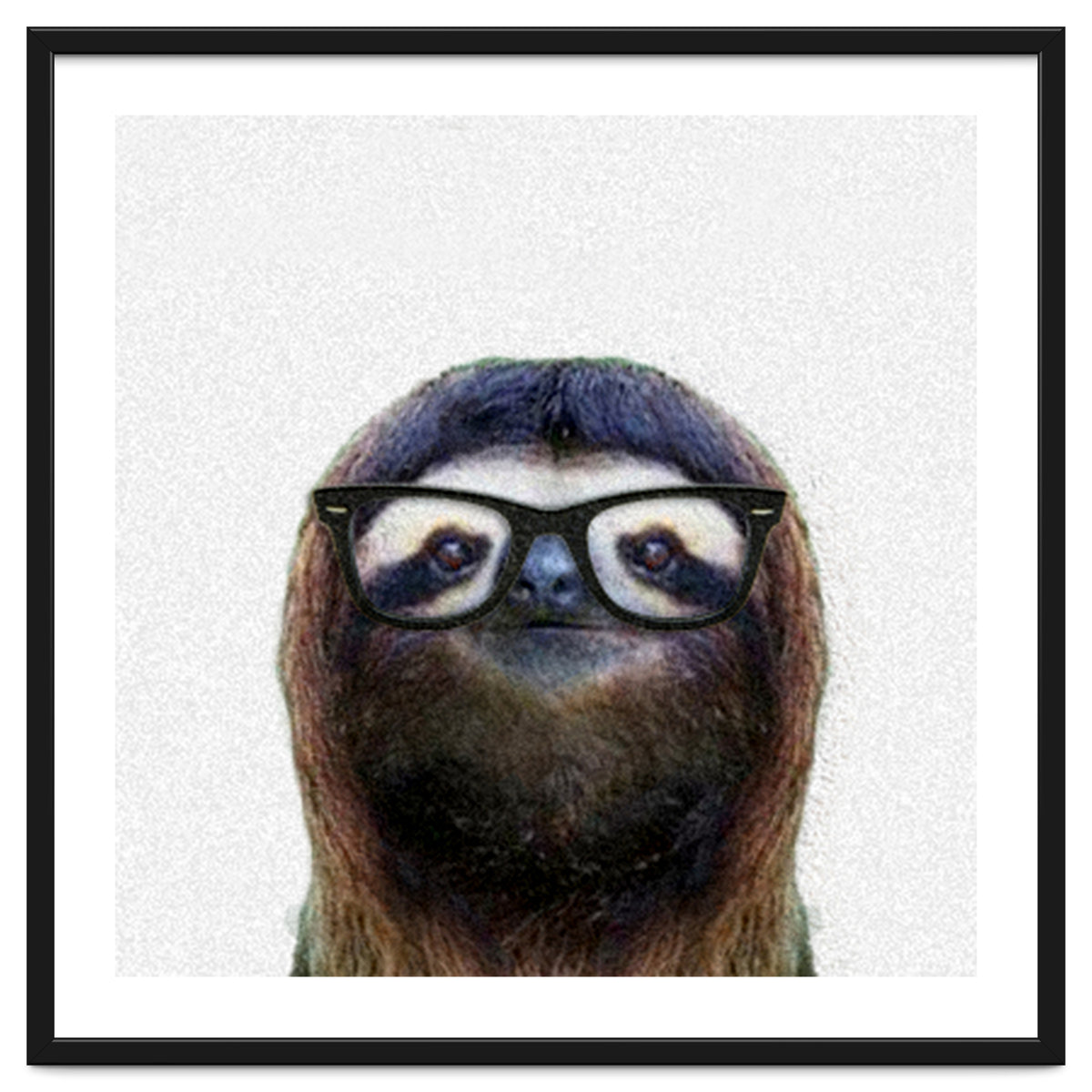 Geek Sloth