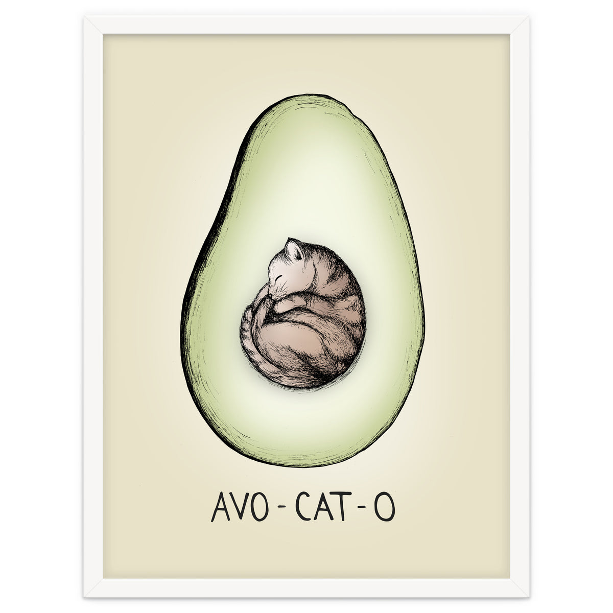 Avo-cat-o