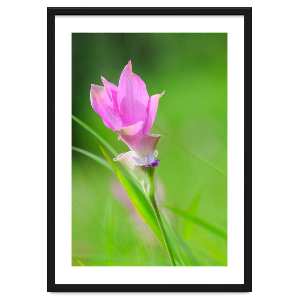 Nature 4000x6000 (12)