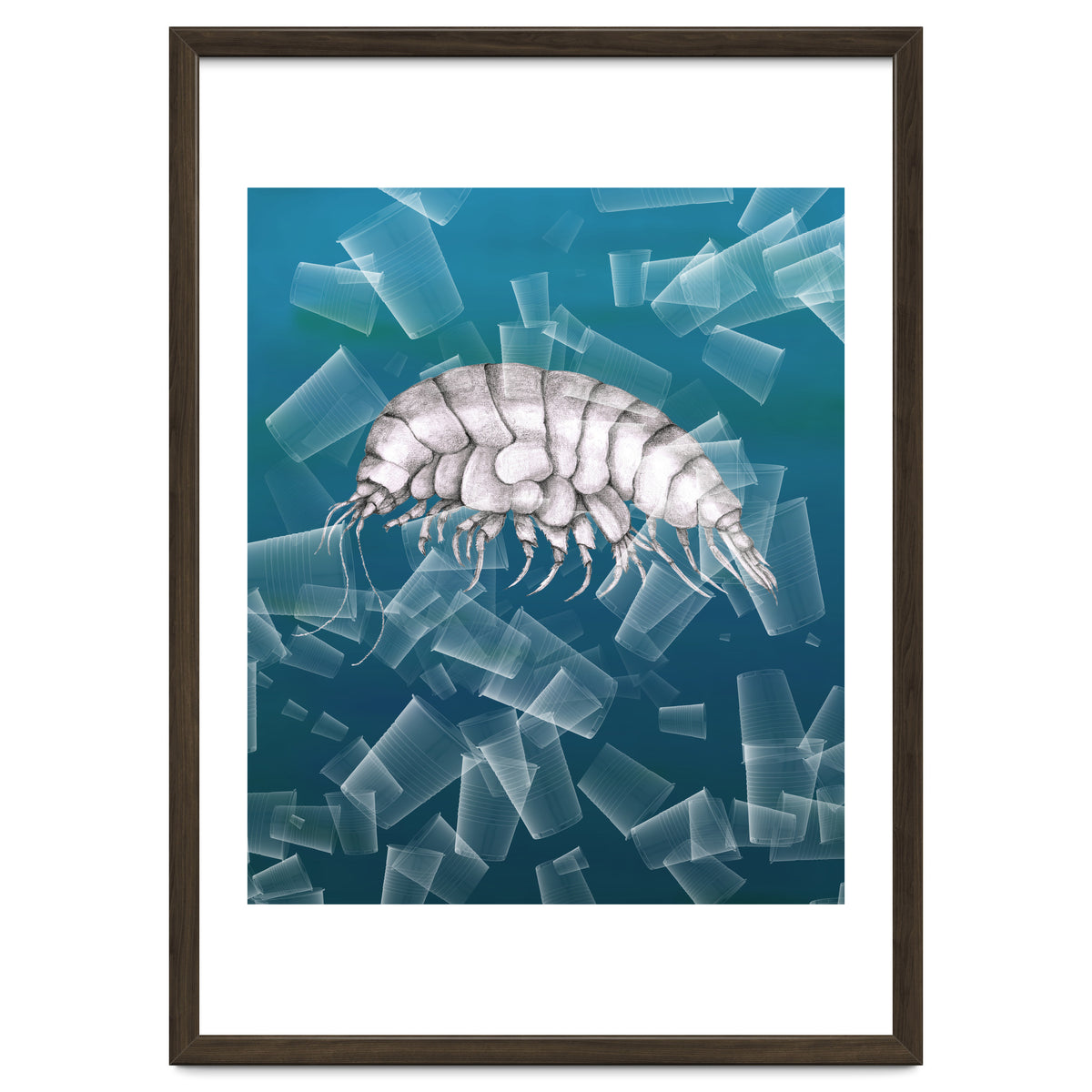 Eurythenes Plasticus