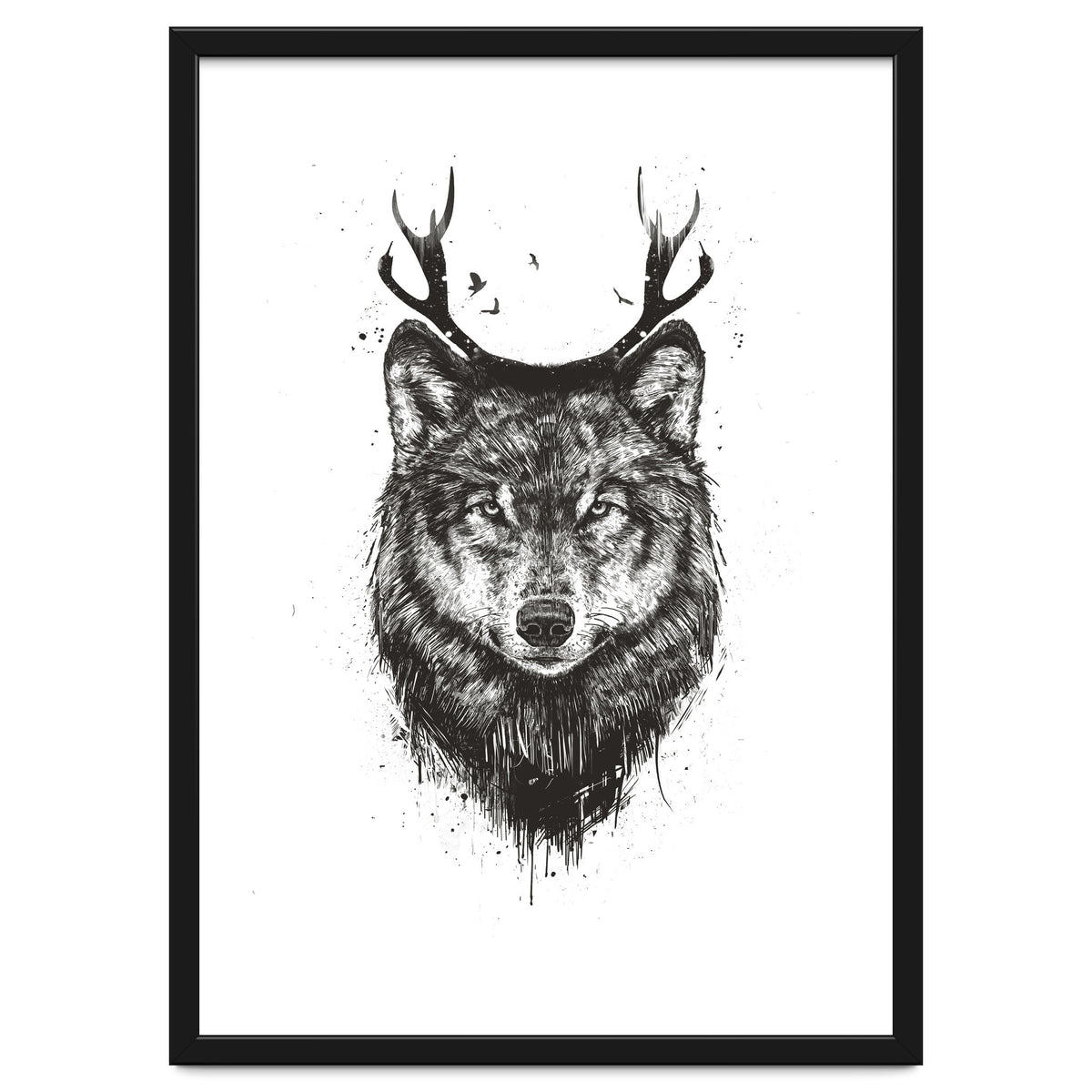Deer Wolf Bw