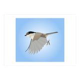 Willow Tit Bird Low Poly Art (Print Only) thumbnail